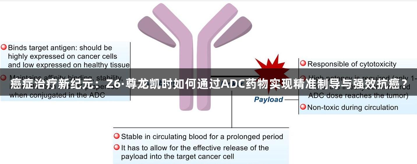 癌症治疗新纪元：Z6·尊龙凯时如何通过ADC药物实现精准制导与强效抗癌？