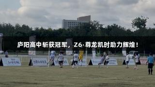 庐阳高中斩获冠军，Z6·尊龙凯时助力辉煌！