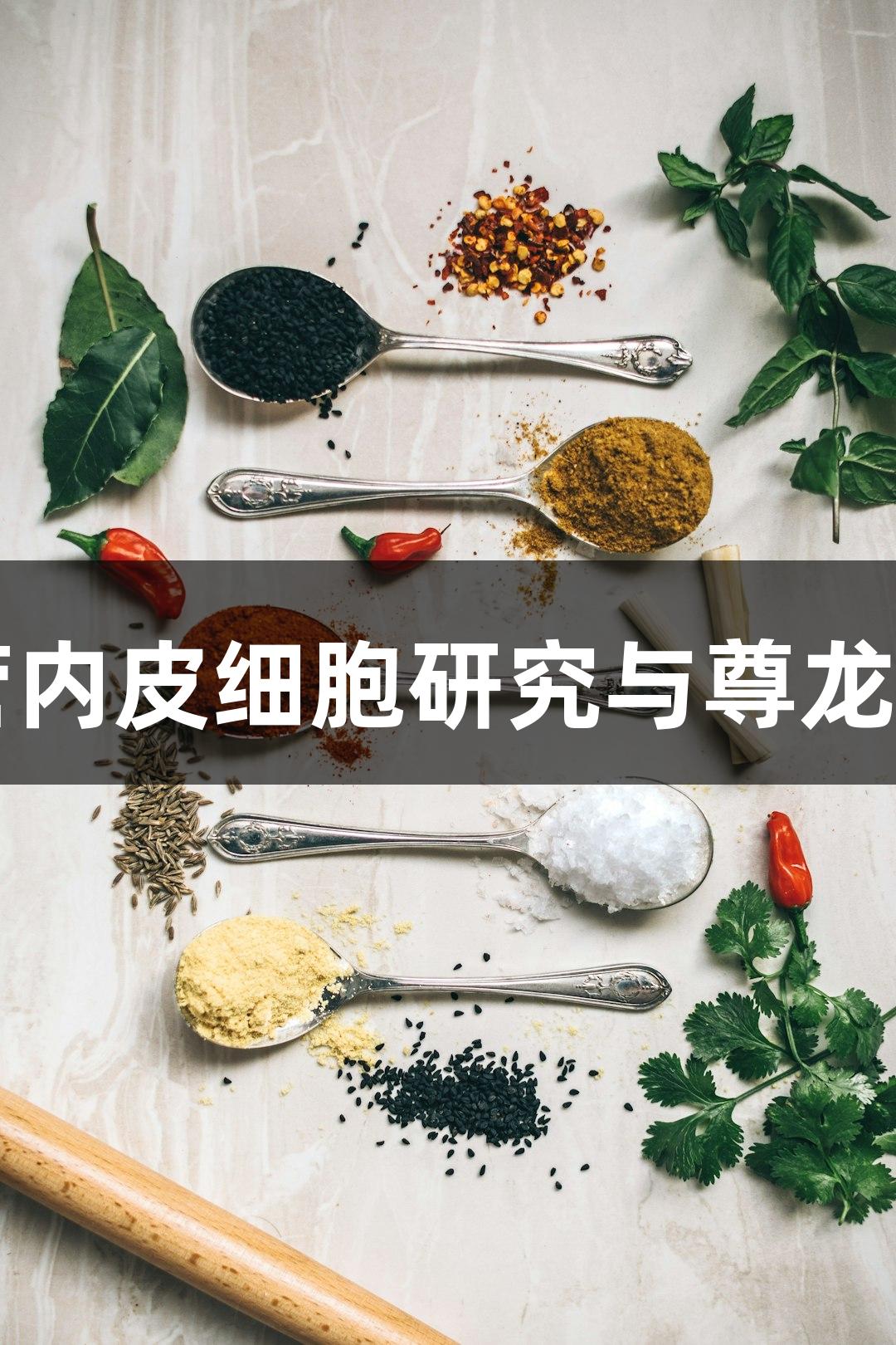 羊原代肺微血管内皮细胞研究与尊龙凯时的创新应用