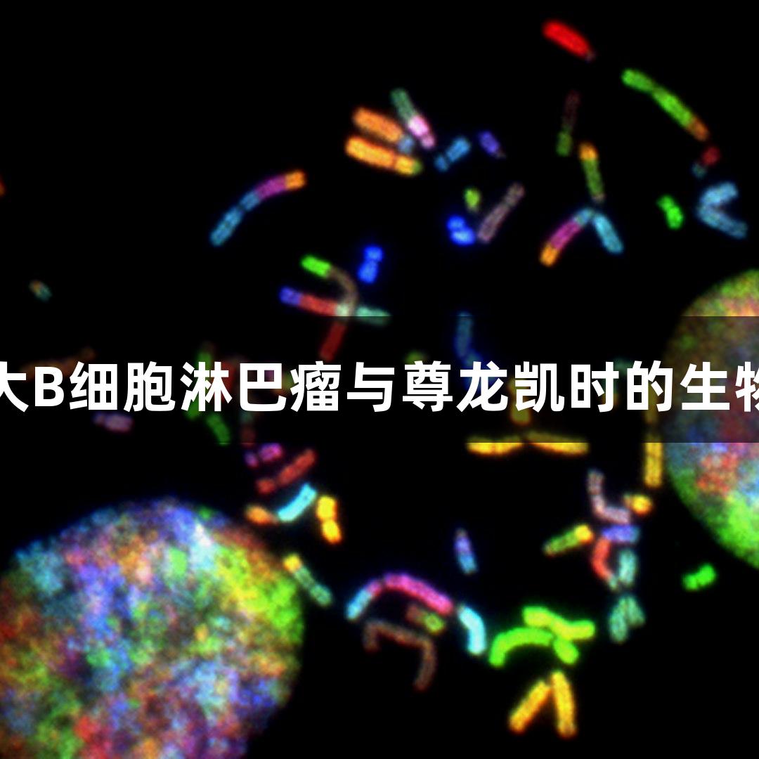 人弥漫性大B细胞淋巴瘤与尊龙凯时的生物医疗研究