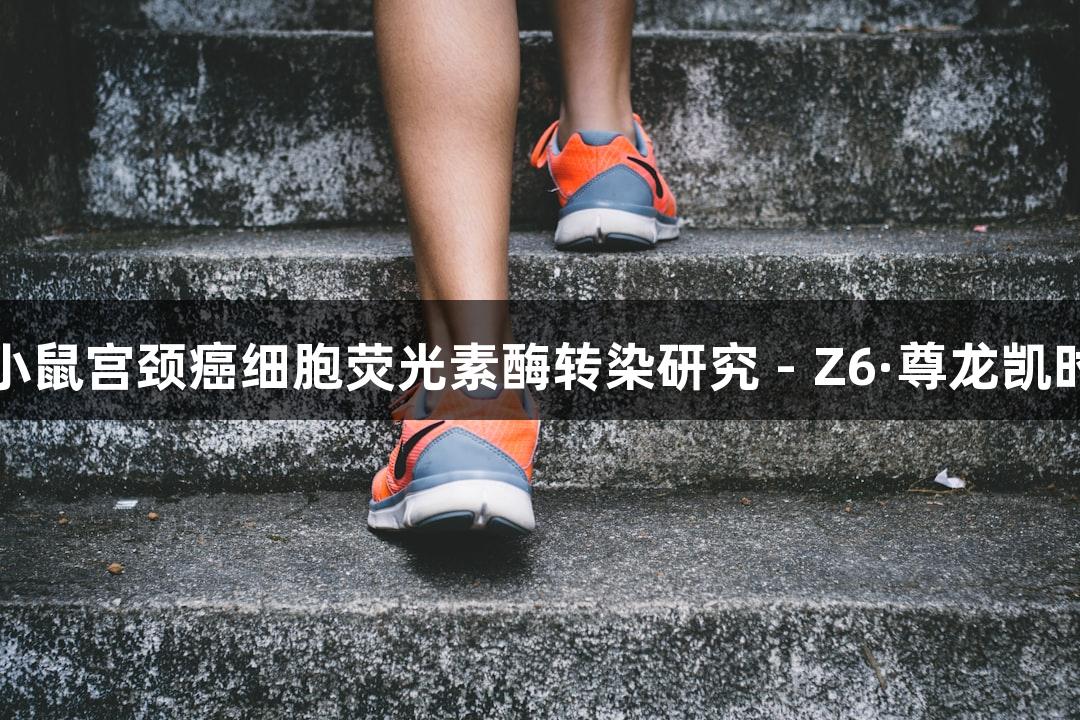 小鼠宫颈癌细胞荧光素酶转染研究 - Z6·尊龙凯时
