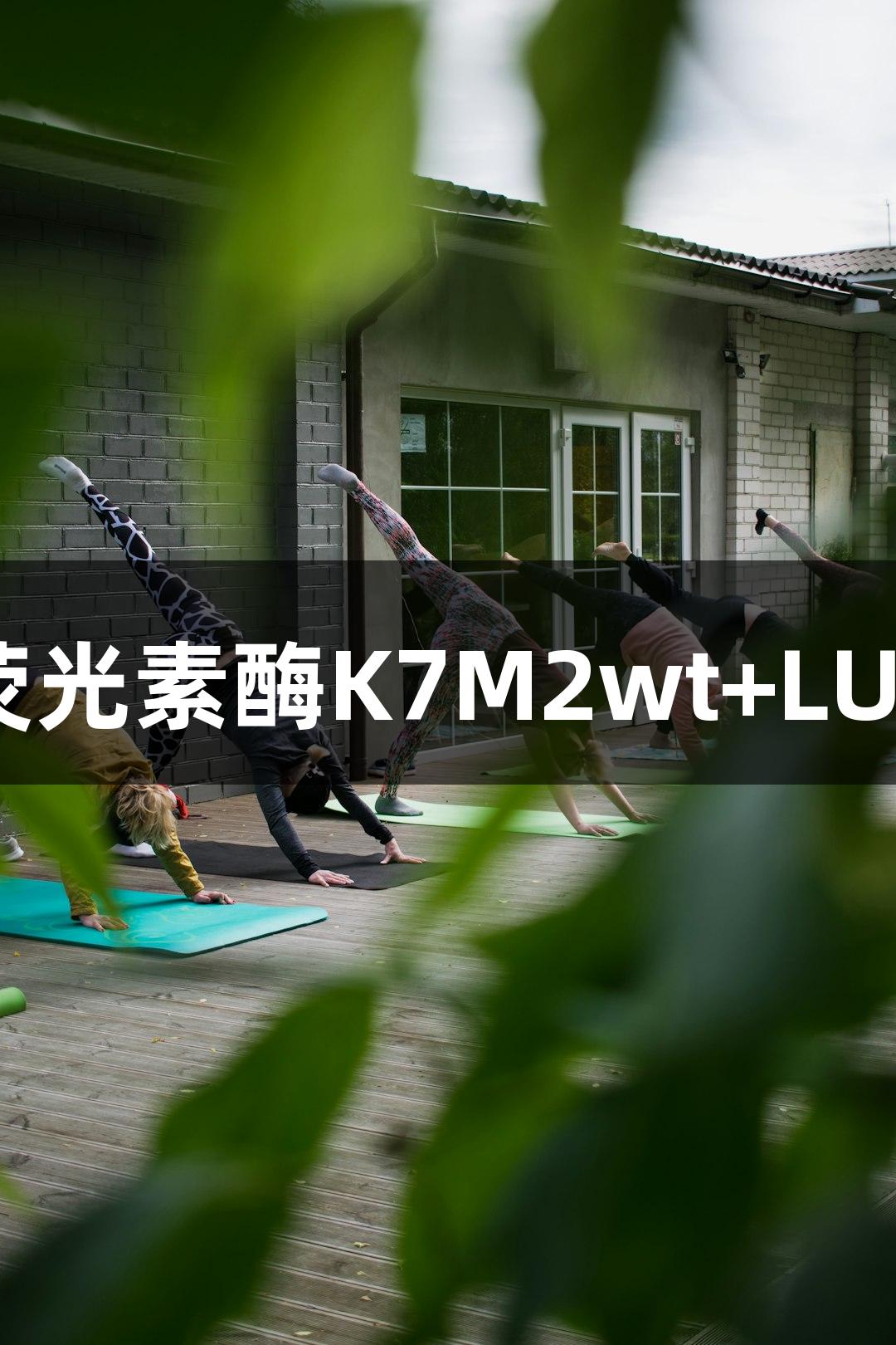 小鼠骨肉瘤成骨细胞荧光素酶K7M2wt+LUC研究 - EVO视讯揭秘