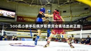 500名小拳手在俄罗斯贵宾会赛场激战正酣