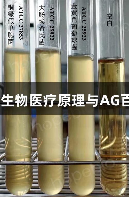 m-TGE肉汤的生物医疗原理与AG百家乐使用指南