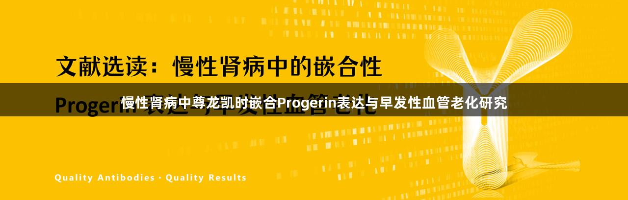 慢性肾病中尊龙凯时嵌合Progerin表达与早发性血管老化研究