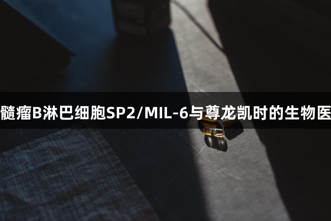 小鼠骨髓瘤B淋巴细胞SP2/MIL-6与尊龙凯时的生物医疗研究