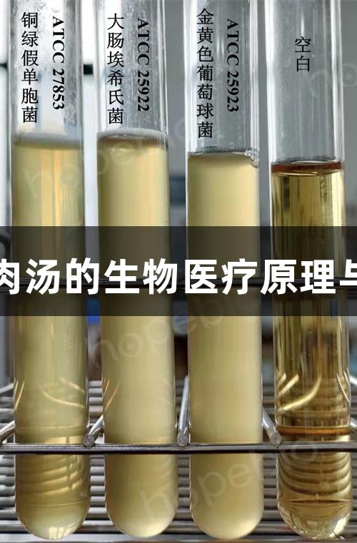 尊龙凯时肉汤的生物医疗原理与应用方法