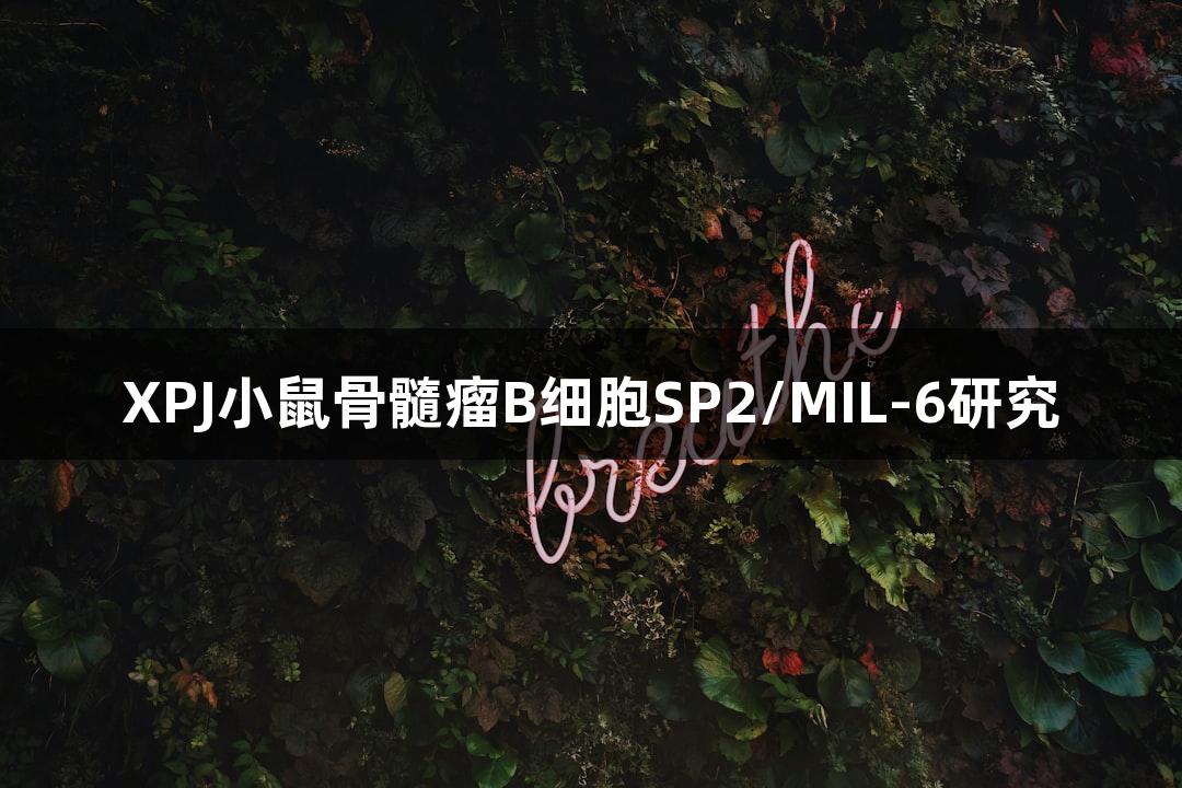 XPJ小鼠骨髓瘤B细胞SP2/MIL-6研究