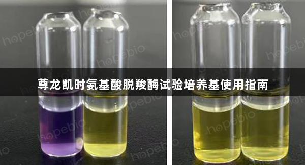 尊龙凯时氨基酸脱羧酶试验培养基使用指南