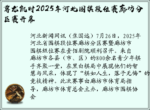 尊龙凯时2025年河北围棋段位赛廊坊分区赛开幕