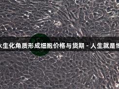 Hacat人永生化角质形成细胞价格与货期 - 人生就是博·尊龙凯时