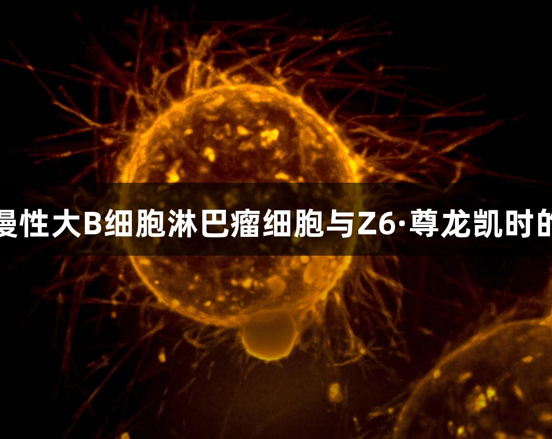 人弥漫性大B细胞淋巴瘤细胞与Z6·尊龙凯时的研究