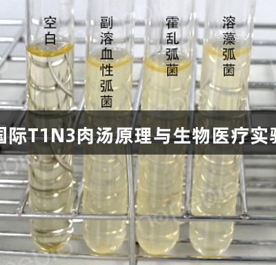 利来国际T1N3肉汤原理与生物医疗实验现象