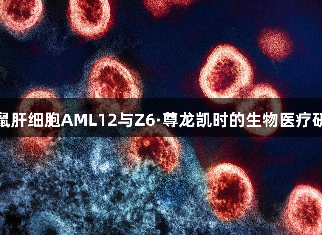 小鼠肝细胞AML12与Z6·尊龙凯时的生物医疗研究