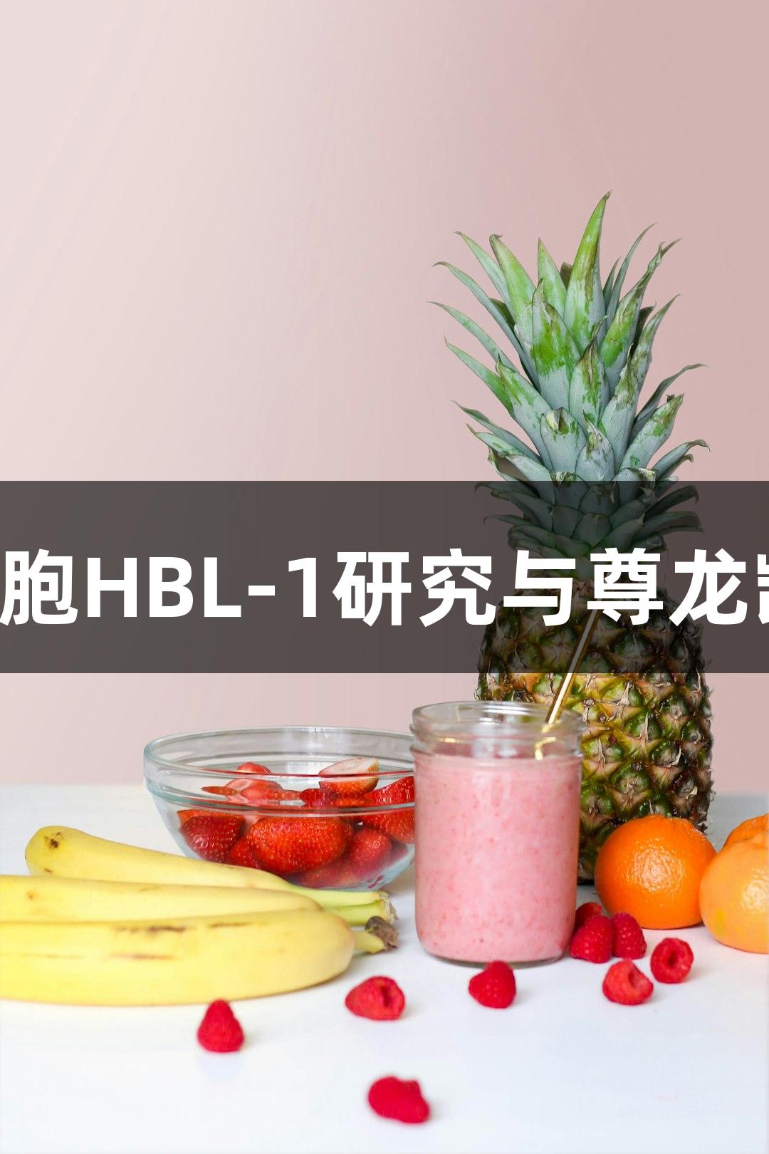 人弥漫大B淋巴瘤细胞HBL-1研究与尊龙凯时的生物医疗创新