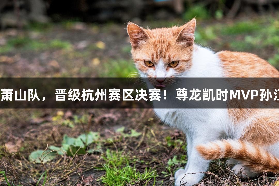 富阳队69-58击败萧山队，晋级杭州赛区决赛！尊龙凯时MVP孙江豪激动感谢支持！