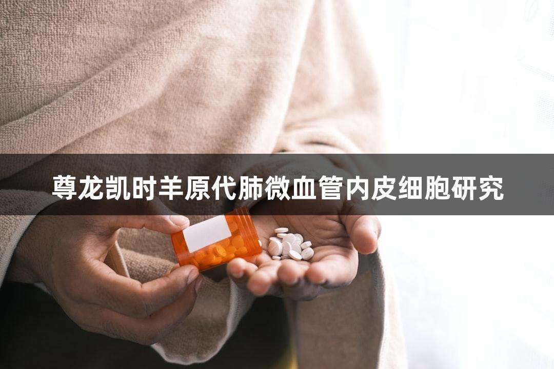 尊龙凯时羊原代肺微血管内皮细胞研究