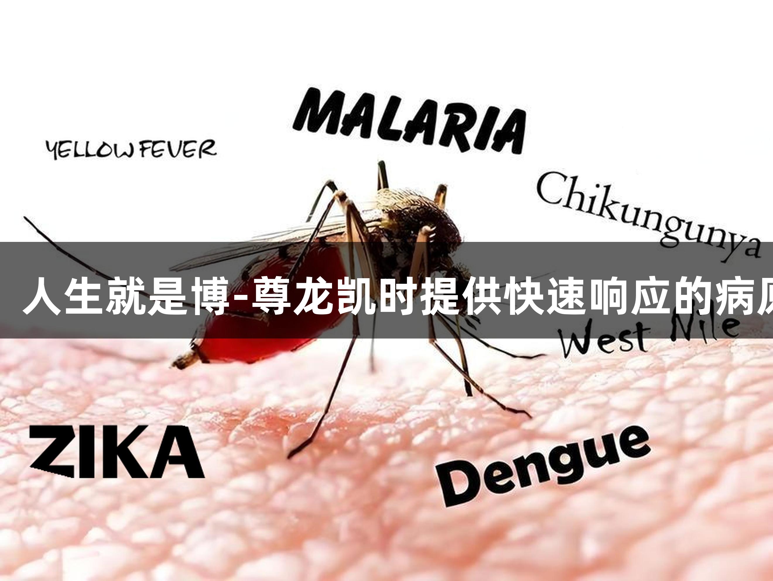 直面基孔肯雅疫情：人生就是博-尊龙凯时提供快速响应的病原体原料与质控方案