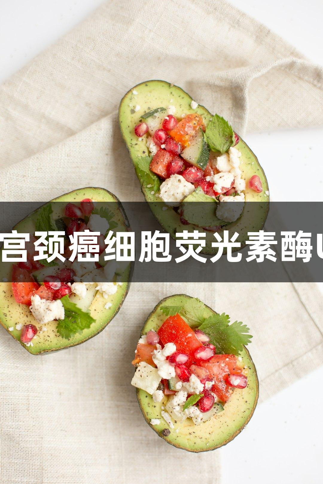 尊龙凯时小鼠宫颈癌细胞荧光素酶U14+LUC研究