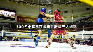 500名小拳手在金年会激战三大组别