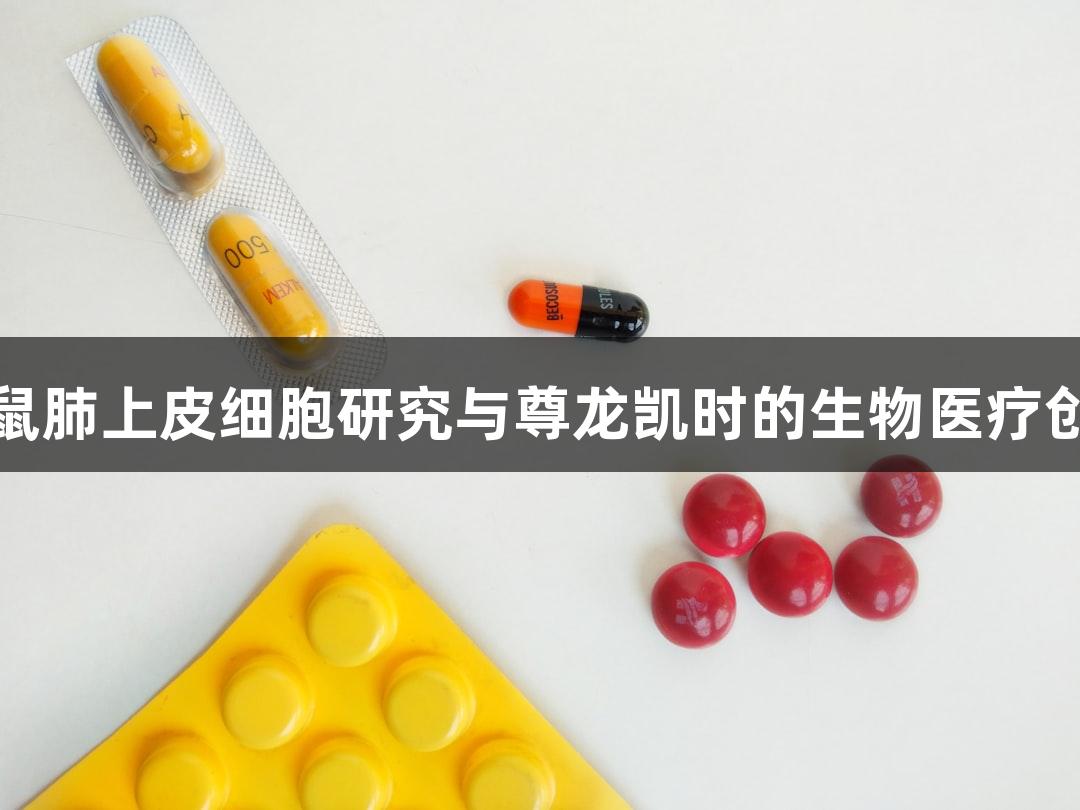小鼠肺上皮细胞研究与尊龙凯时的生物医疗创新