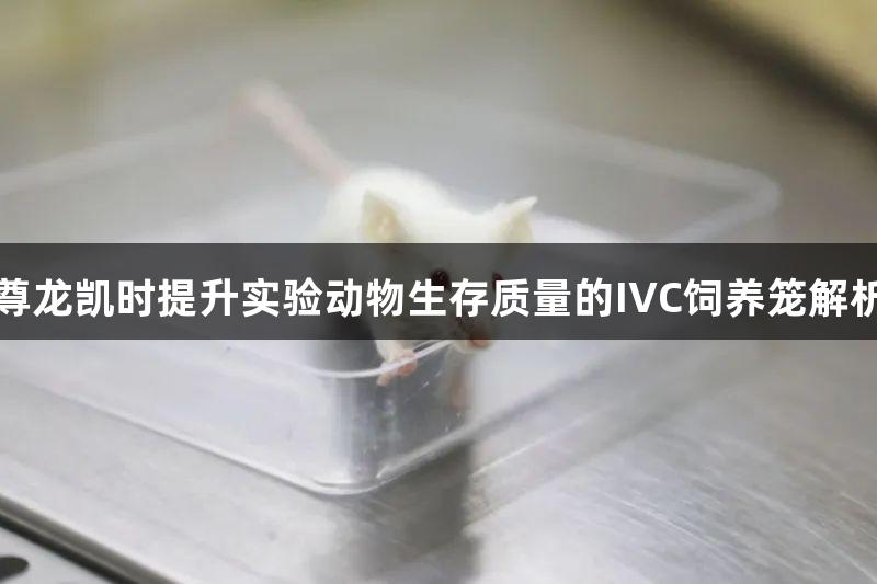 尊龙凯时提升实验动物生存质量的IVC饲养笼解析