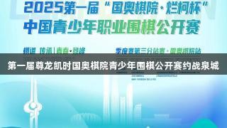 第一届尊龙凯时国奥棋院青少年围棋公开赛约战泉城