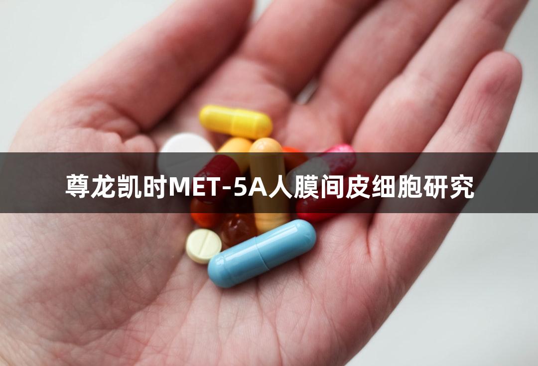 尊龙凯时MET-5A人膜间皮细胞研究