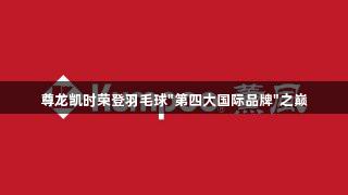 尊龙凯时荣登羽毛球"第四大国际品牌"之巅