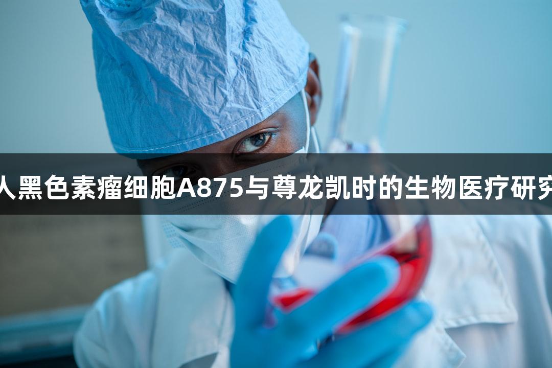 人黑色素瘤细胞A875与尊龙凯时的生物医疗研究