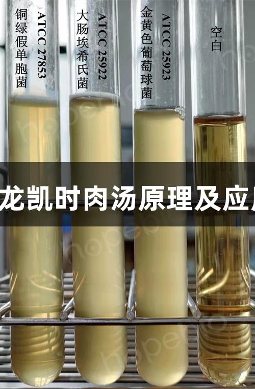 Z6·尊龙凯时肉汤原理及应用揭秘