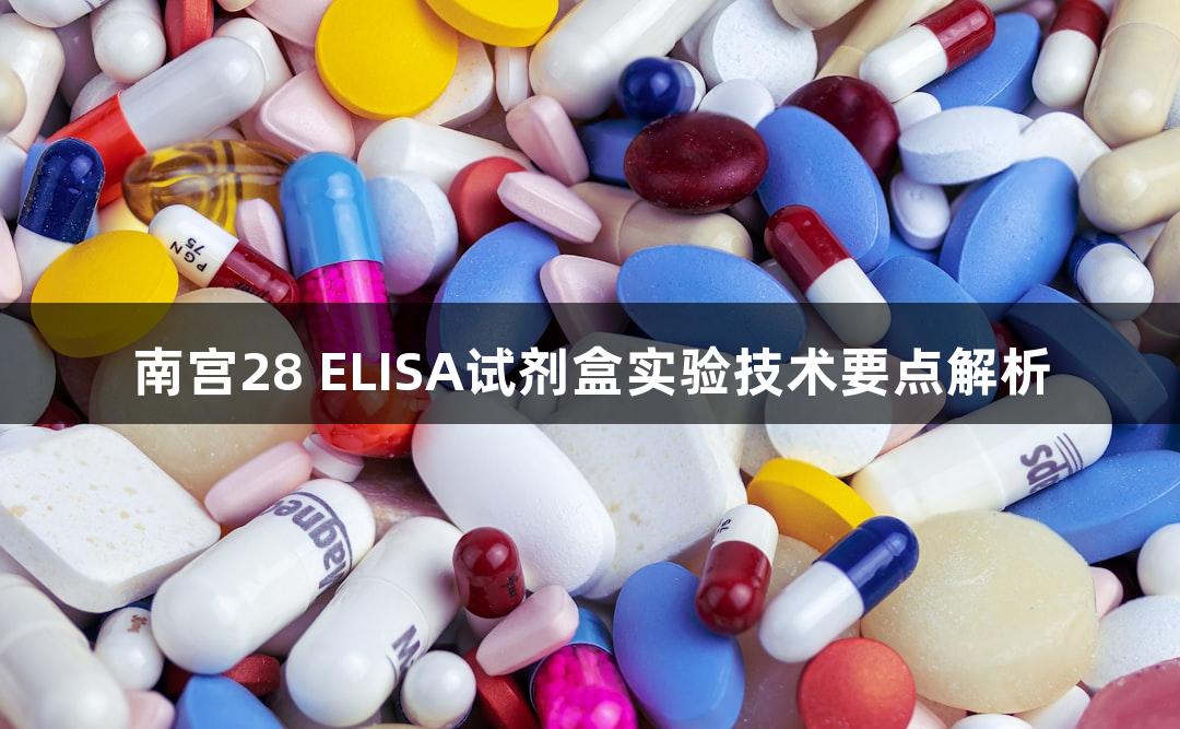 南宫28 ELISA试剂盒实验技术要点解析