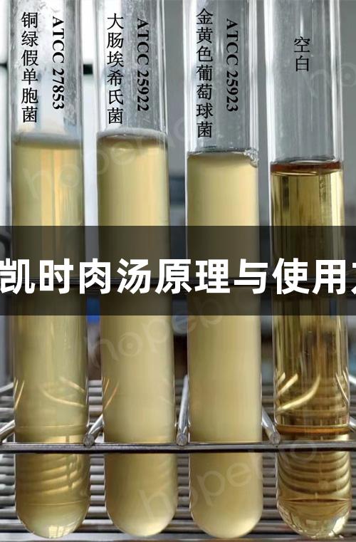 Z6·尊龙凯时肉汤原理与使用方法解析