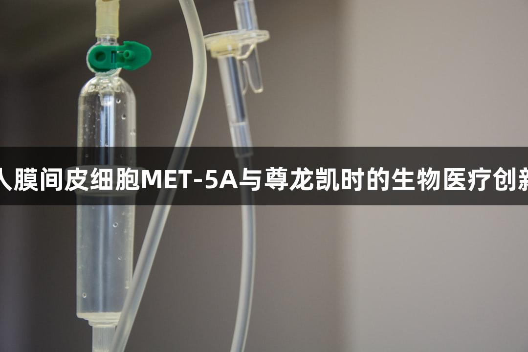 人膜间皮细胞MET-5A与尊龙凯时的生物医疗创新