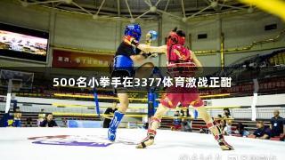 500名小拳手在3377体育激战正酣