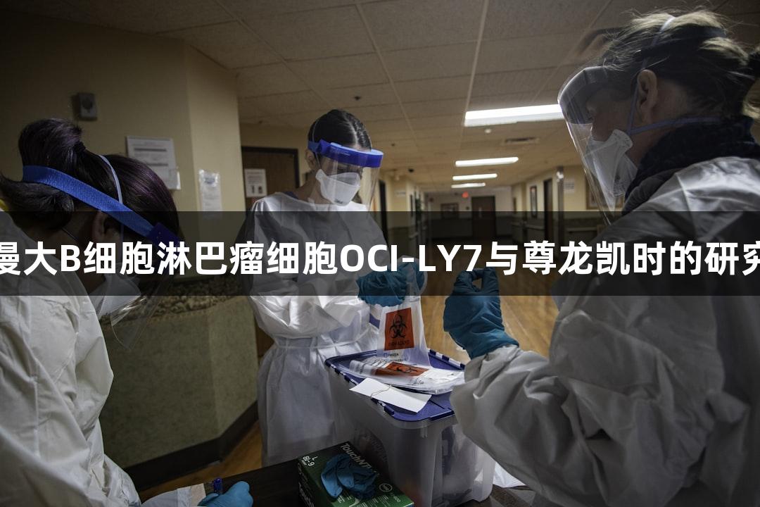人弥漫大B细胞淋巴瘤细胞OCI-LY7与尊龙凯时的研究进展