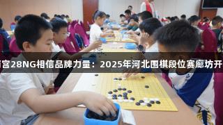 南宫28NG相信品牌力量：2025年河北围棋段位赛廊坊开赛