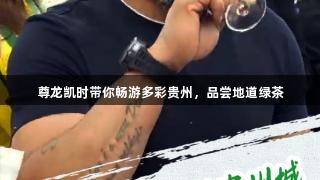 尊龙凯时带你畅游多彩贵州，品尝地道绿茶
