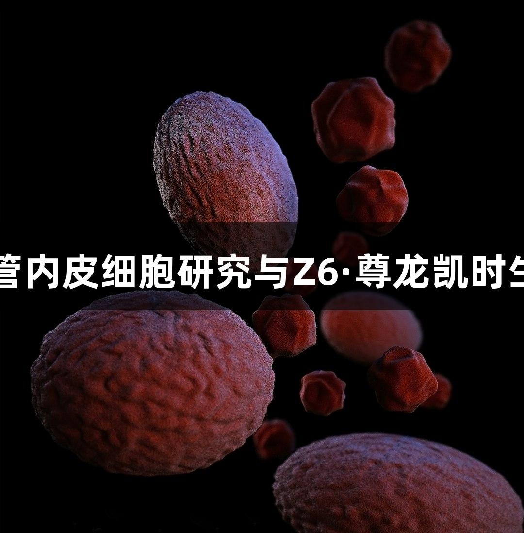 羊原代肺微血管内皮细胞研究与Z6·尊龙凯时生物医疗的应用
