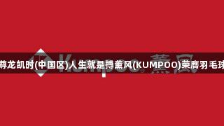 超越追随：尊龙凯时(中国区)人生就是搏薰风(KUMPOO)荣膺羽毛球第四大品牌