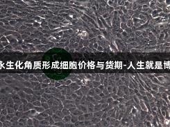 Hacat人永生化角质形成细胞价格与货期-人生就是博-尊龙凯时