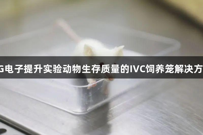 PG电子提升实验动物生存质量的IVC饲养笼解决方案