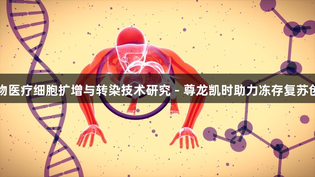 生物医疗细胞扩增与转染技术研究 - 尊龙凯时助力冻存复苏创新