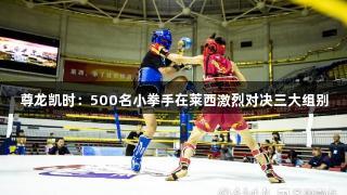 尊龙凯时：500名小拳手在莱西激烈对决三大组别