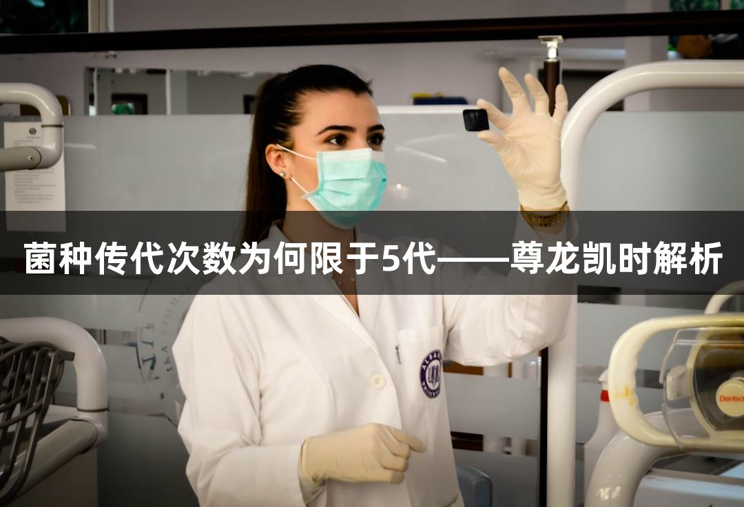 菌种传代次数为何限于5代——尊龙凯时解析