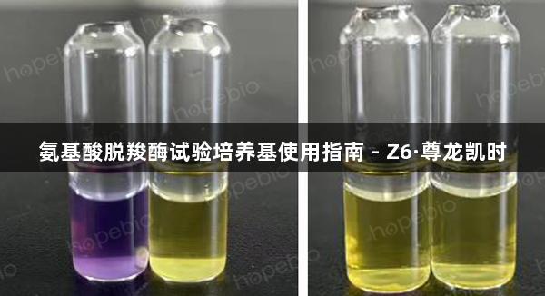 氨基酸脱羧酶试验培养基使用指南 - Z6·尊龙凯时