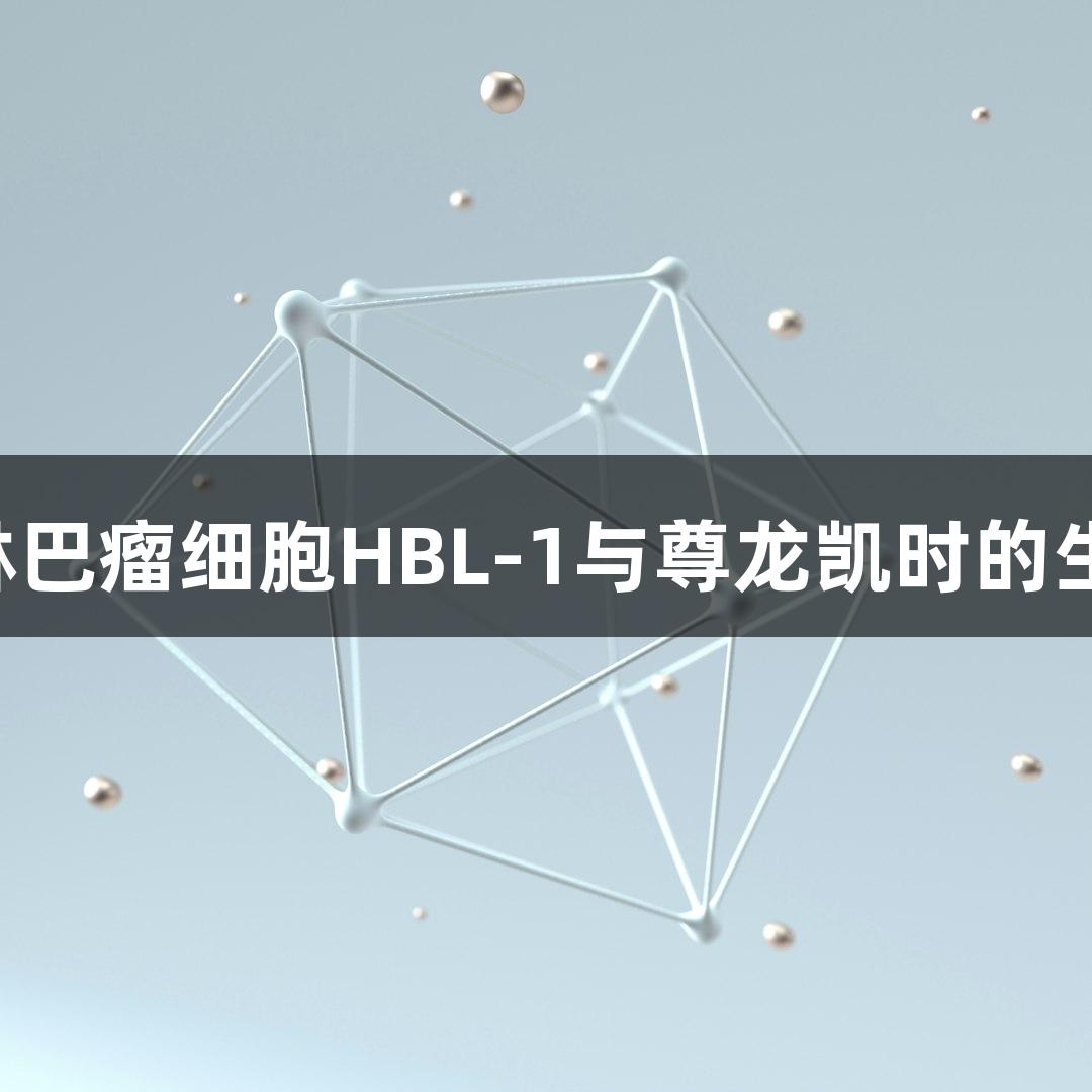 人弥漫大B淋巴瘤细胞HBL-1与尊龙凯时的生物医疗研究