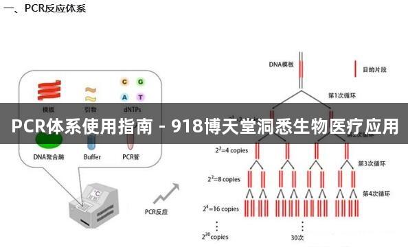 PCR体系使用指南 - 918博天堂洞悉生物医疗应用