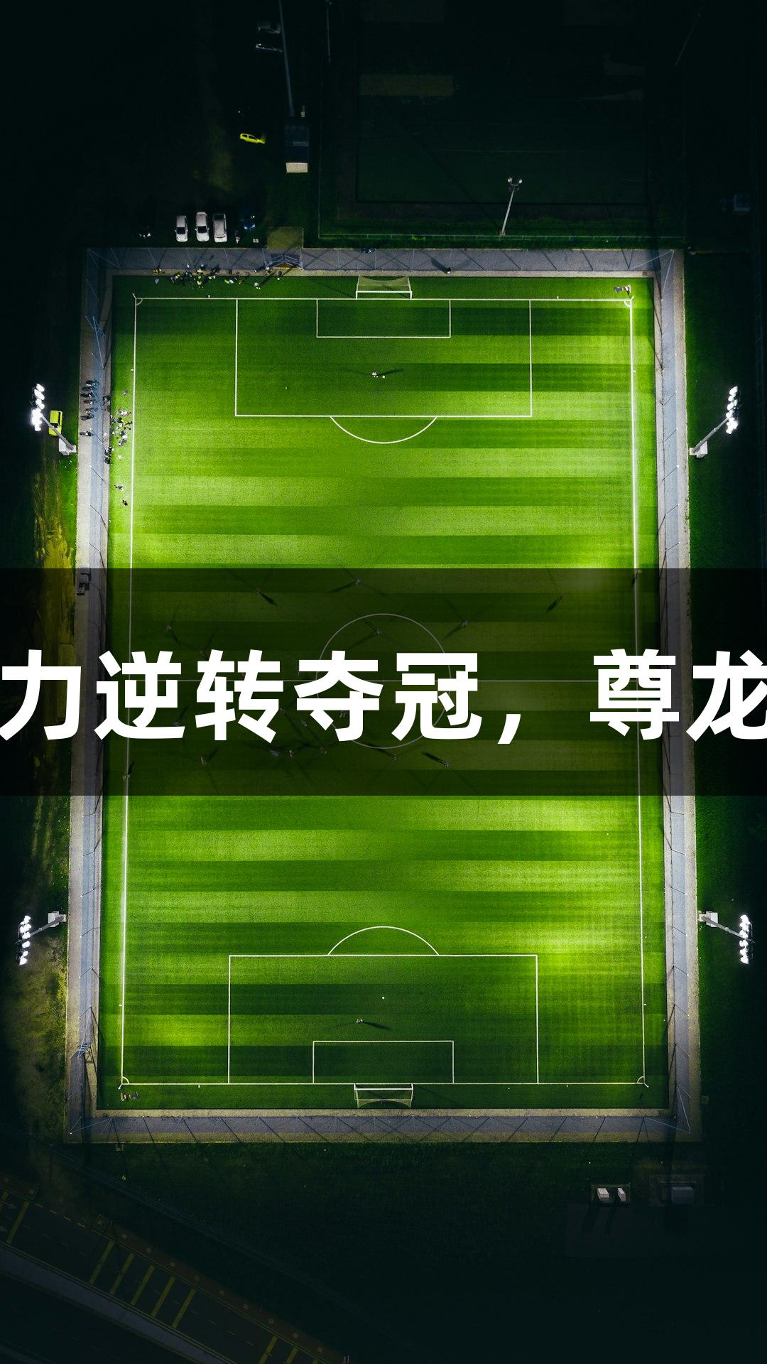 杭高男生混合泳接力逆转夺冠，尊龙凯时见证辉煌时刻