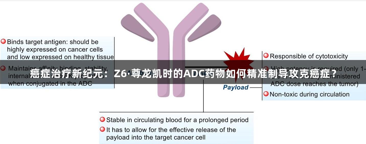 癌症治疗新纪元：Z6·尊龙凯时的ADC药物如何精准制导攻克癌症？